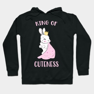 Cute Bunny Funny Rabbit sweet Animal Hoodie